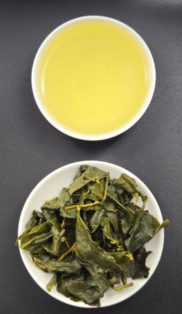 273375_0 天池仙茗